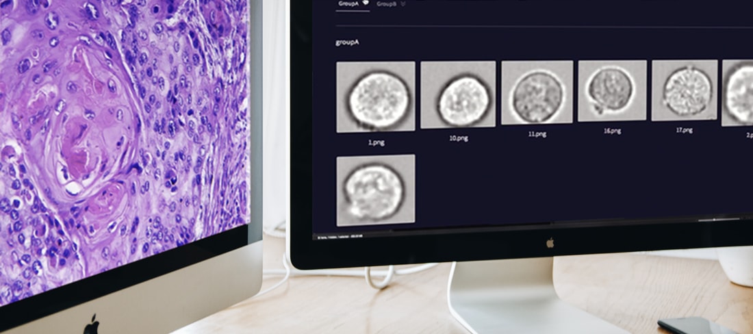 画像処理セミナー Imacel イマセル